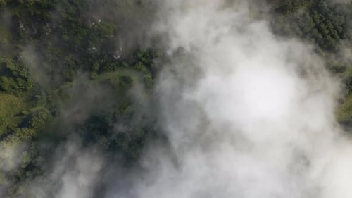 Aerial View From Above of Morning Fog Over Green Wooded Landscape