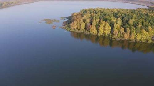 Luftaufnahme von oben auf den schönen See, umgeben von buntem Wald im Herbst