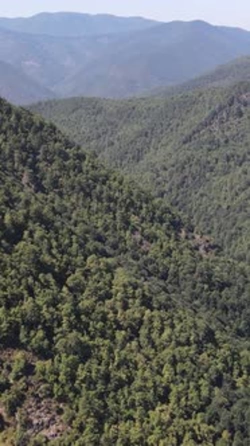 Epic Green Mountian Forest Aerial View