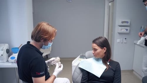 Dentist Explains Jaw Model to Woman Patient