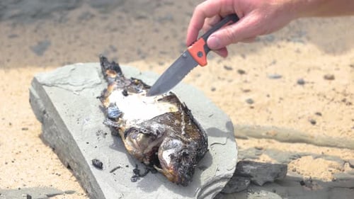A close up of a man using his knife to eat the flesh of a fish cooked on hot coals by the coastline.