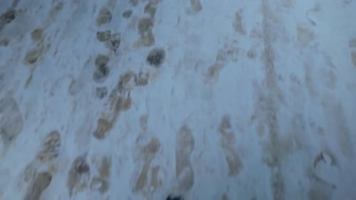 Winter Footsteps on Snowy Sidewalk
