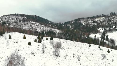 Snowy Mountains and Evergreen Trees in Winter Landscape