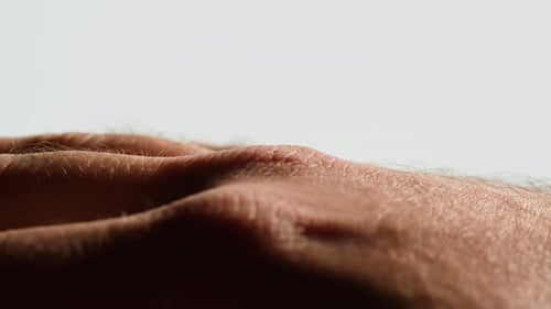 Close Up of a Person's Hand