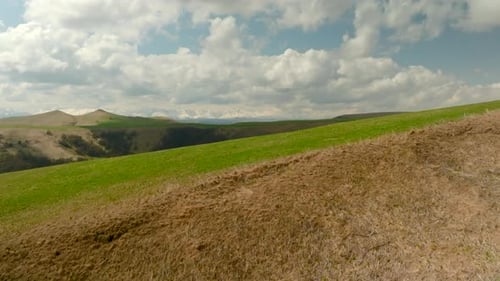 Hilly landscape with green grass and sparse trees