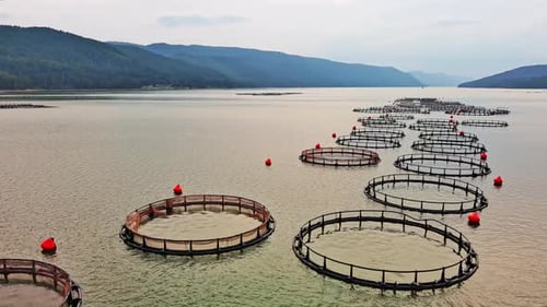 Fishing Cages for Breeding Fish in Lake in Mountain Valley of Rhodope Mountains Under Cloudy Sky