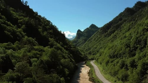 Serene Mountain River with Lush Green Trees
