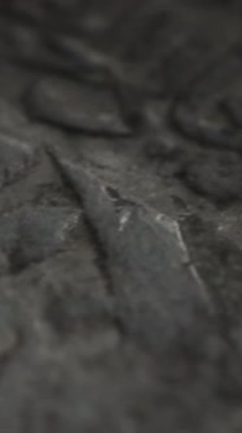 Abstract Dark Organic Textured Background Motion