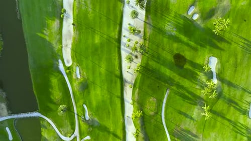 Aerial View of Big Goulf Course Field with Green Palm Trees Casting Long Shadows in Boca Grande