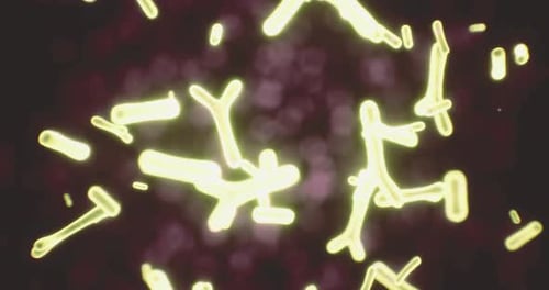 Glowing Microscopic Forms Floating Abstract Science Animation
