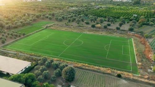 Empty Soccer Sport Field Near Olive Tree Plants