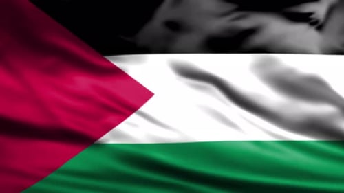 Realistic Waving Palestine Flag Background Animation