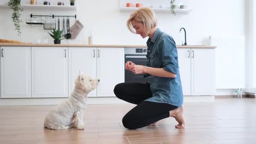 Woman Treats Small Dog in Modern Kitchen
