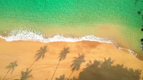 Flying sideways over a deserted beach with the waves crashing and the shadows of the palm trees refl