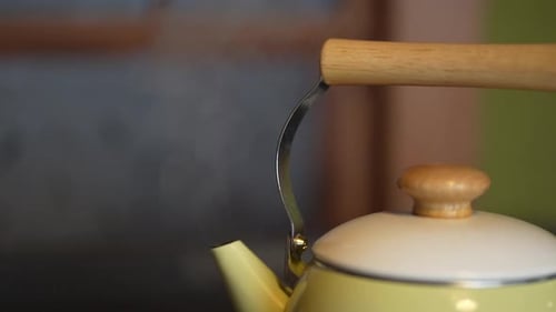 steam kettle
