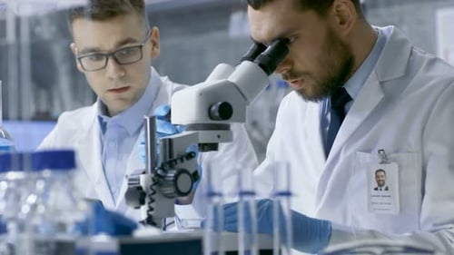 Two Scientists Working in a Modern Laboratory