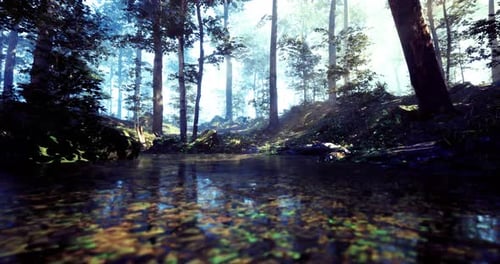 Serene Forest Landscape with Clear Water Reflecting Vibrant Greenery