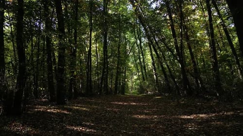 Waldweg 23