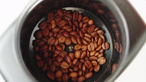 Electric Coffee Grinder Preparing to Grind Coffee in Shop Barista Making Specialty Drink