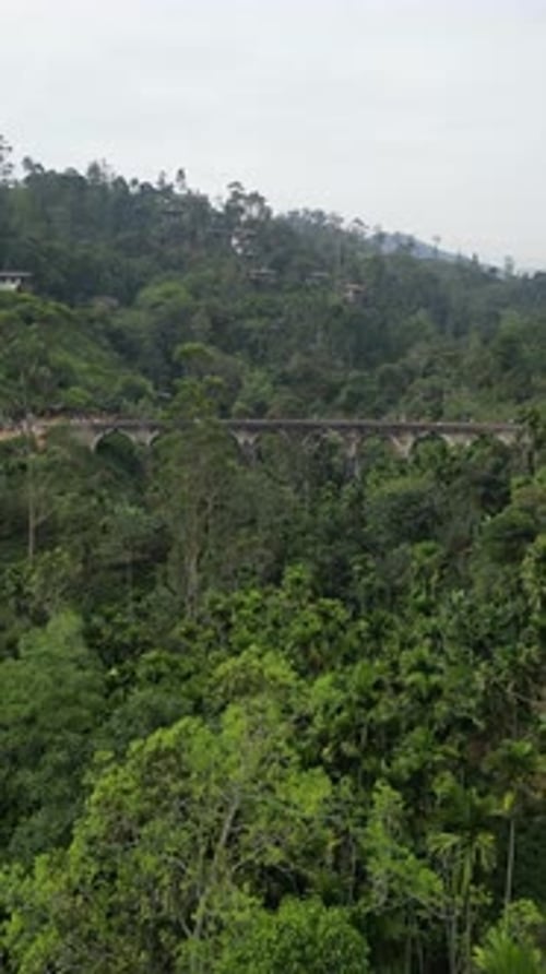 Vue aérienne du pont à neuf arches de Demodara, Ella, Sri Lanka