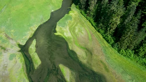 Survolez le sol pour photographier le cours supérieur de la rivière, l'herbe et les arbres.