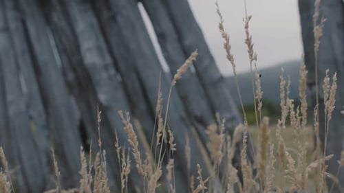 Brown Grass and Wooden Fence in a Field