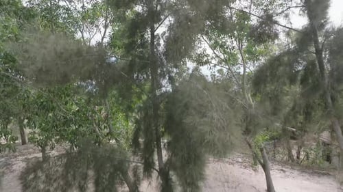 Championship Golf Club