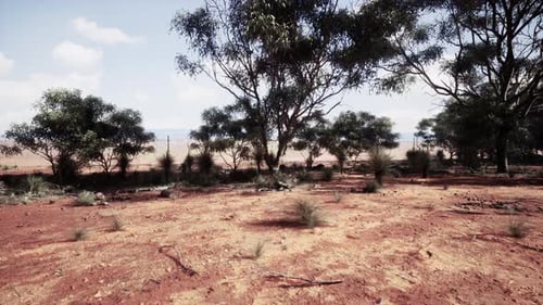 A Serene Landscape with Trees in a Rustic Field