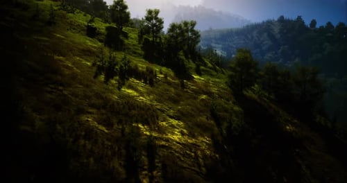Colline verdoyante avec des arbres sous un ciel matinal lumineux