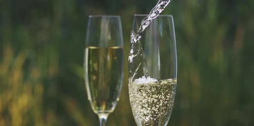 Champagne Pouring into Glass With Bubbles