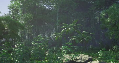 Lush Green Forest with Vibrant Foliage Under Bright Sunlight in Daytime