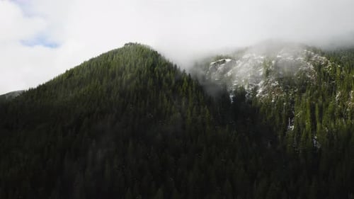 Timelapse of Clouds Forming around Peak Of Mountain With Dense Pine Trees In The Forest. - aerial sh