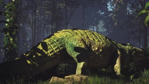 Crocodile se reposant dans le feuillage dense de la jungle à la lumière matinale