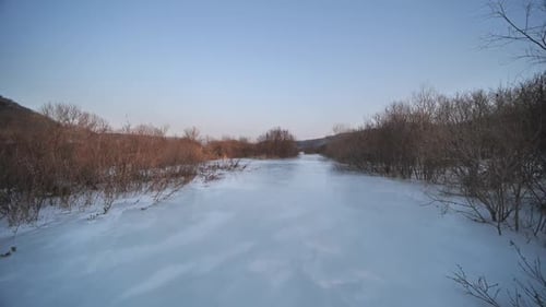 Frozen River and Tree Branches Coated in Ice During a Serene Winter Evoking Stillness and Chill