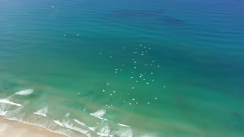Aerial video of birds flying on a sunny day over the coast of Israel