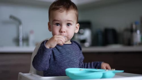 Child Eats Food in High Chair in Kitchen