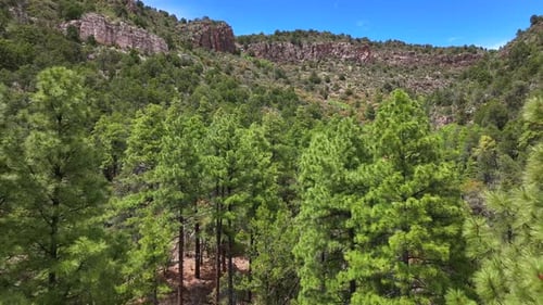 Aerial view of forest and mountains, United States.