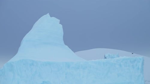 Atemberaubende Reise durch riesige Eisberge und gefrorene arktische Polarlandschaften