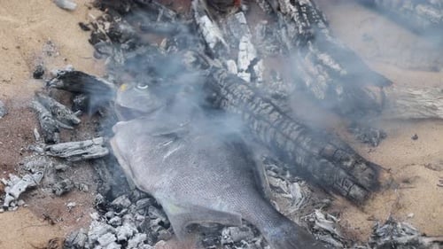 A sweep fish being cooked naturally over hot coals on a beach.