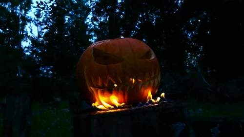Flaming Jack-o'-lantern sitting on tree stump at night