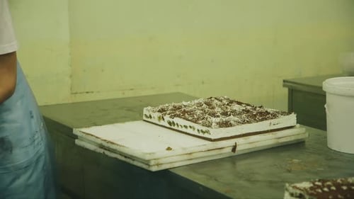 Pastry Chef Slices Tiramisu Cake in Bakery