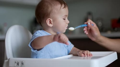 Baby Being Fed in a High Chair