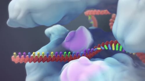Vibrant DNA double helix structure with colorful nucleotides