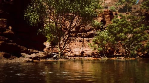 Colorado River with Gorgeous Sandstone Walls and Canyons