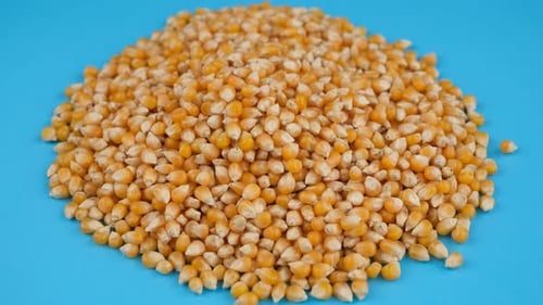 popcorn seeds background