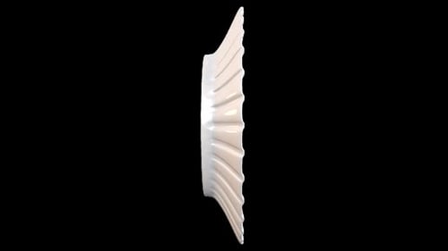 Elegant White Ruffled Plate 3D Rotation Animation