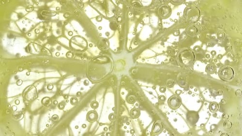 Close Up of Citrus Slice with Bubbles