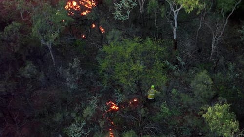 Necessary back burning being done in a North Western Australia forest