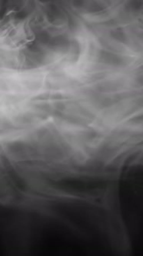 Natural White Smoke in Motion on Black Background
