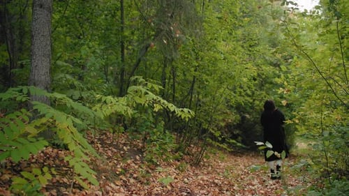 Back View Modern Woman Strolling Through Forest in Autumn